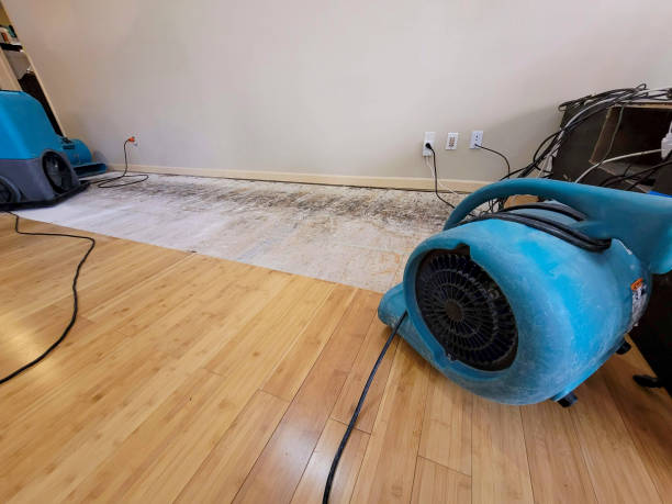 Professional Water Extraction technician working in Lorain, OH